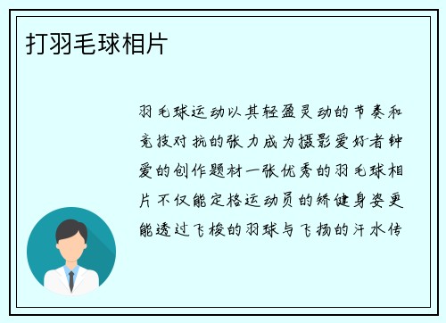打羽毛球相片