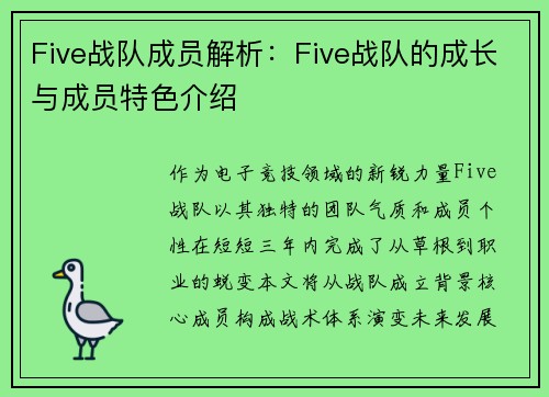 Five战队成员解析：Five战队的成长与成员特色介绍