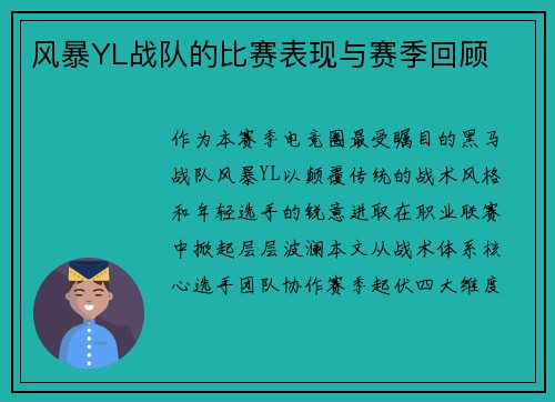 风暴YL战队的比赛表现与赛季回顾
