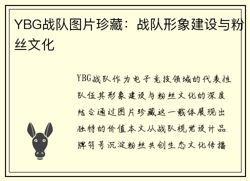 YBG战队图片珍藏：战队形象建设与粉丝文化