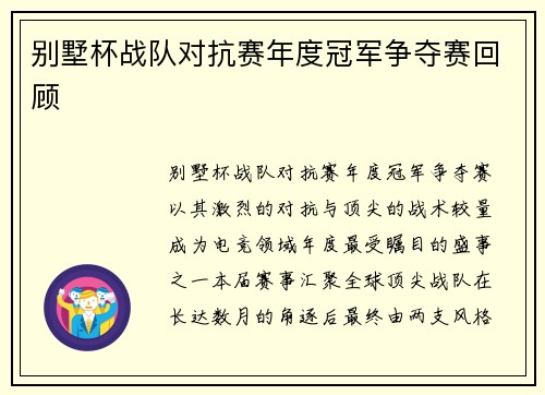 别墅杯战队对抗赛年度冠军争夺赛回顾