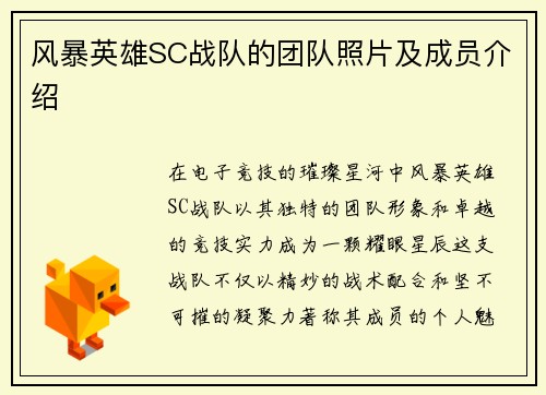 风暴英雄SC战队的团队照片及成员介绍